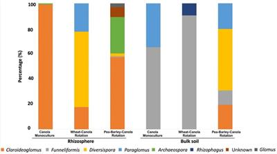 Long-Term Persistence of Arbuscular Mycorrhizal Fungi in the Rhizosphere and Bulk Soils of Non-host Brassica napus and Their Networks of Co-occurring Microbes